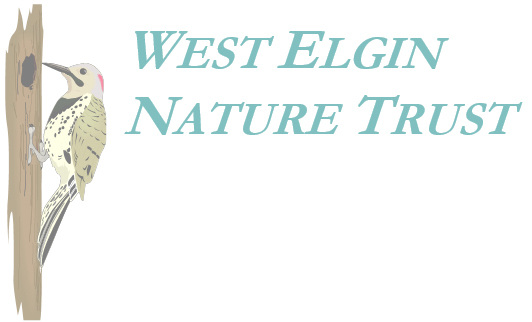 West Elgin Nature Trust is a Partner Group West Elgin Nature Trust Logo