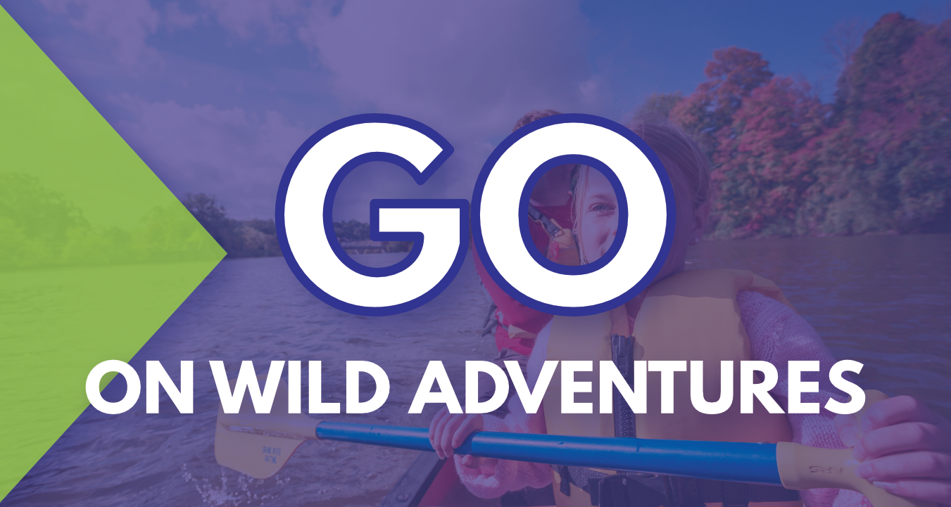 Go on a wild adventure