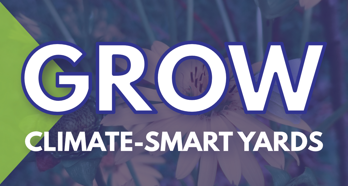 Grow climate-smart yards