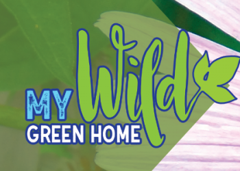 My Wild Green Home